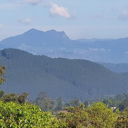 The Grand Bandarawela Ξενοδοχείο Εξωτερικό φωτογραφία