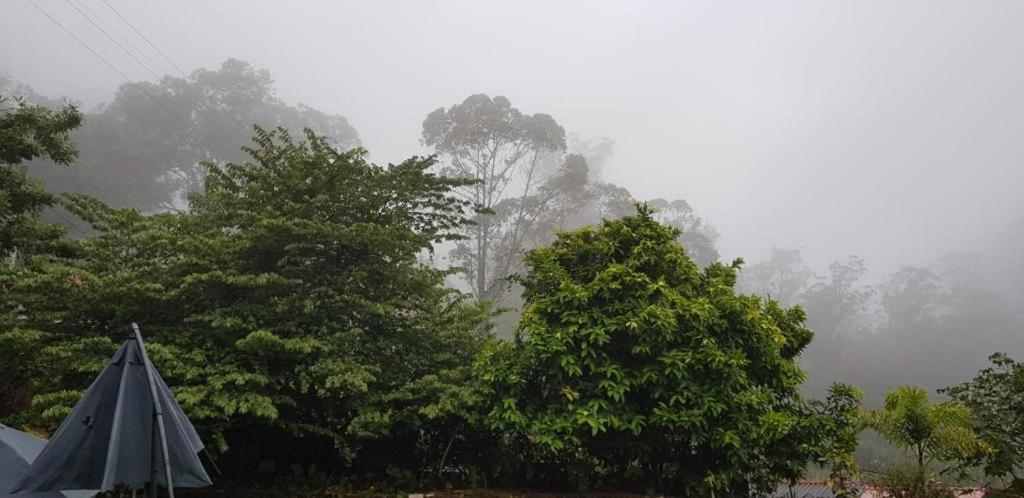 The Grand Bandarawela Ξενοδοχείο Εξωτερικό φωτογραφία